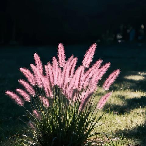三门峡新时代精英学校三（2）班第十四周周报——我不止于此