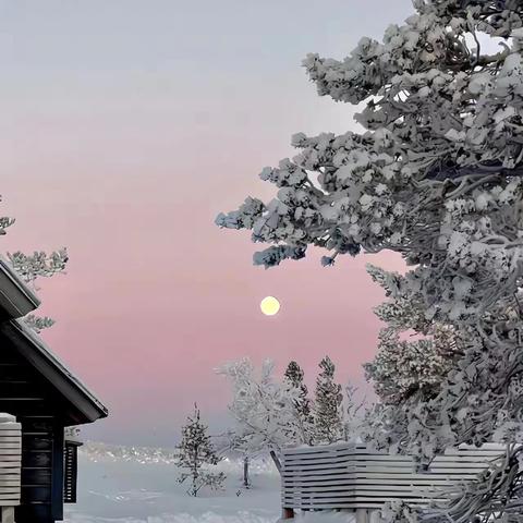 三门峡新时代精英学校三（2）班第十五周周报——大雪至