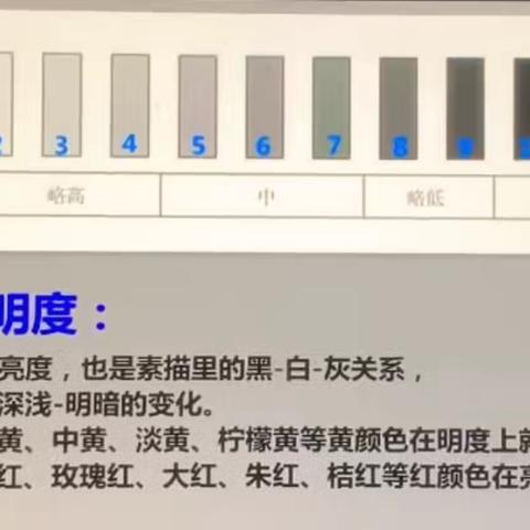 2024年11月19、20日，12月3日4日高二2班课堂记录