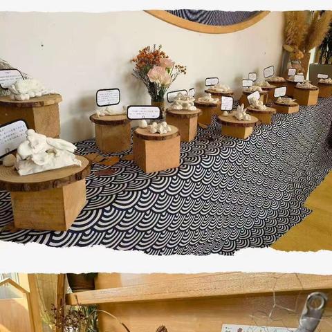 🏡宝福娃婴幼儿成长中心❤️BK2班🌸冬日暖阳☀