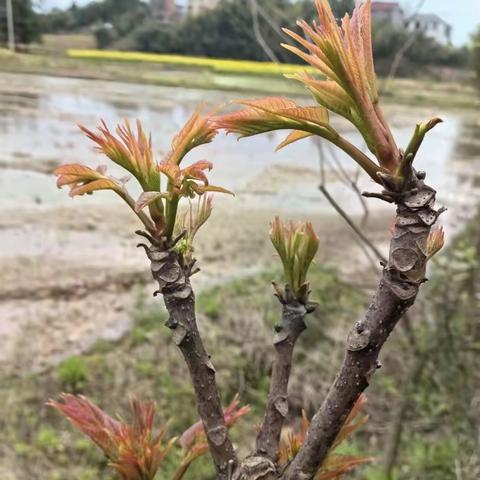 殷老师的简篇