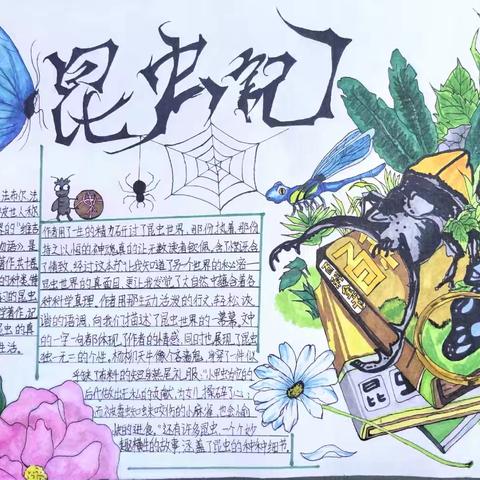纸间虫趣 笔下生辉——记商丘市第十六中学八年级《昆虫记》手抄报大赛