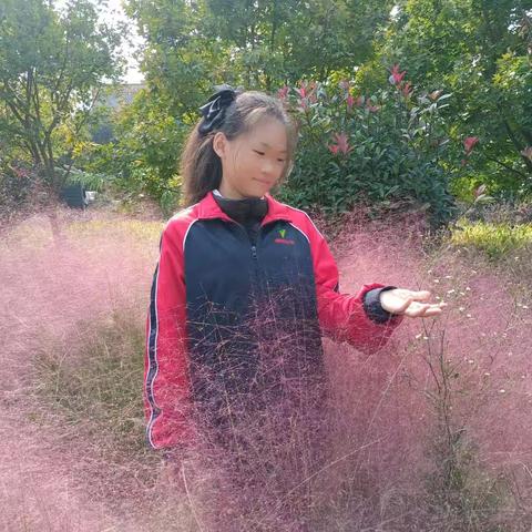 南阳市油田第五小学503班优秀作文第十期