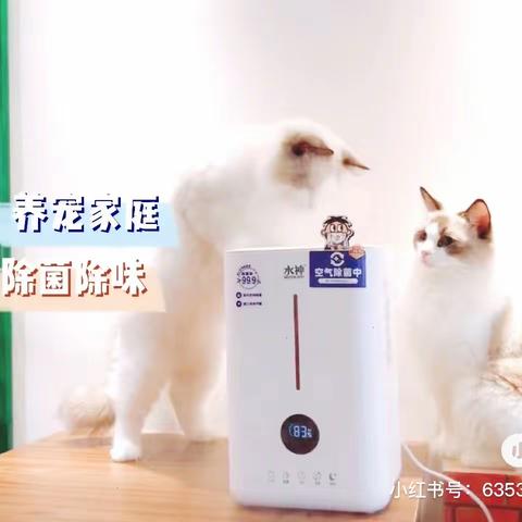 家有萌宠🐈硬核除菌除味👊