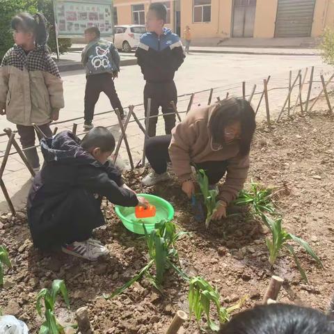 《我最能干》劳动周活动记录