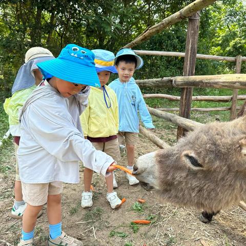 🐫走进动物世界 探索神奇大自然——儋州市通源幼儿园中班组