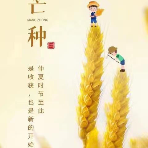 幼儿很“芒”碌 快乐最“种”要 泰达保育院分园小小一班芒种节气活动