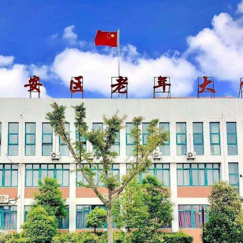 木兰拳班学习党的二十大精神报告核心内容