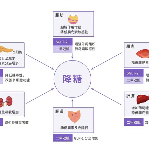 糖尿病用药￼