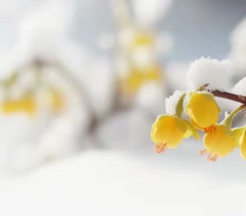 星光不问赶路人，不负仲冬追梦行