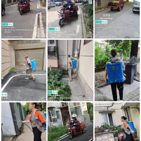 2025年8月安百服务处工作汇报