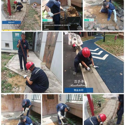 安百服务处9月 工作汇报