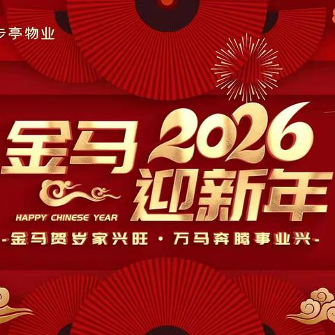 安百服务处2026年2月 工作汇报