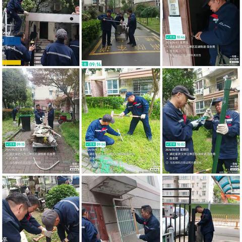 2026年4月安百服务处工作汇报