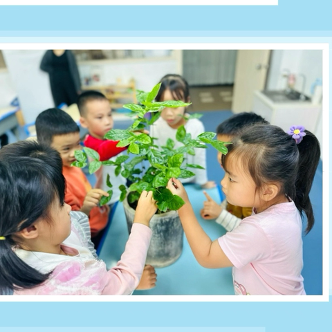 爱家爱己爱茉莉