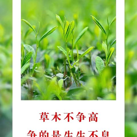 河南康盈环保科技有限公司唐山项目部工作日报（2025年7月11日）