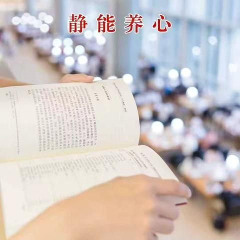 河南康盈环保科技有限公司唐山项目部工作日报（2025年8月25日）