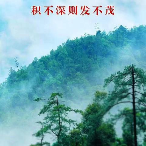 河南康盈环保科技有限公司唐山项目部工作日报（2025年12月23日）