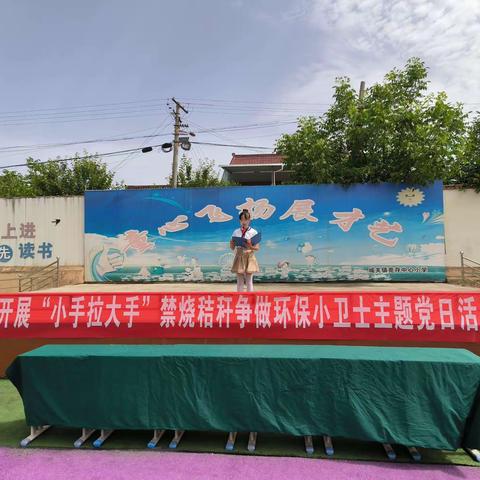 纸坊村党支部开展“小手拉大手”禁烧秸秆争做环保小卫士主题党日活动