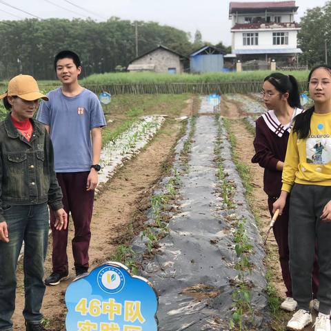 46班八年级下学期 蔬菜基地活动 文／周哲瀚