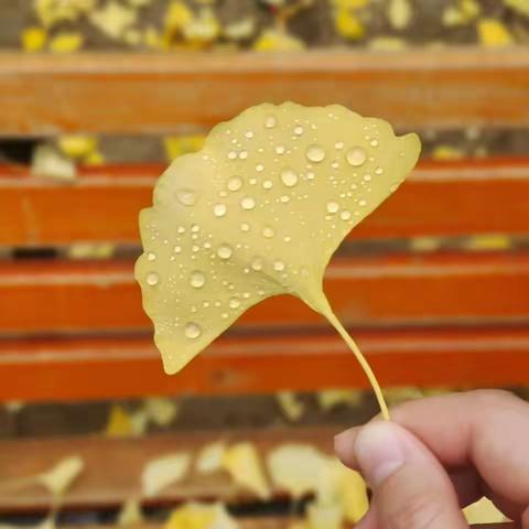 透视与解剖结课作业展