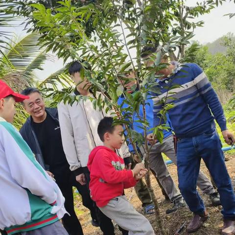 研学基地沉香园：在读学子劳动体验进行时