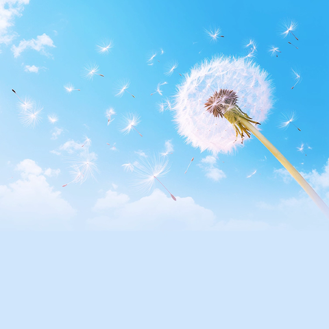 党建引领 闻风而动 ——“麦德姆”台风灾后复产工作纪实