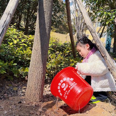 我为社区添点儿绿 点亮美好新生活——市一小一三班“植树节”主题实践活动