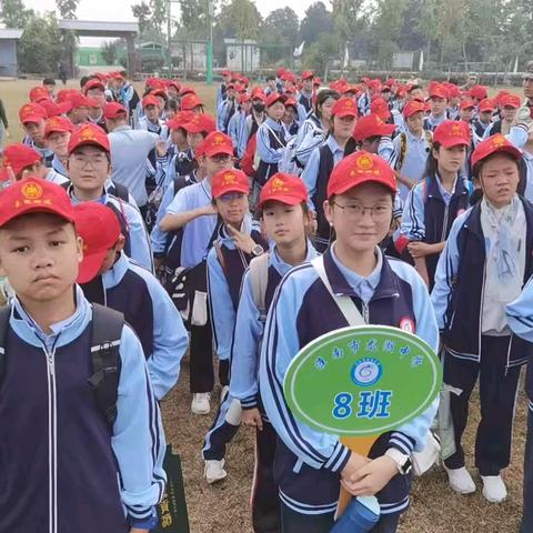 “六自少年 躬耕乐田”——龙湖中学2024级（8）班劳动教育综合实践活动