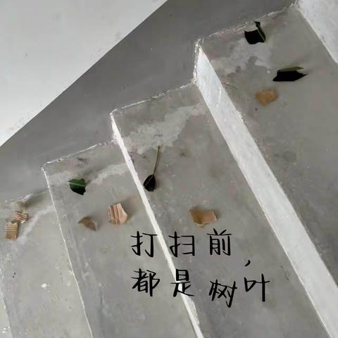 思想品德：为社区做一件好事