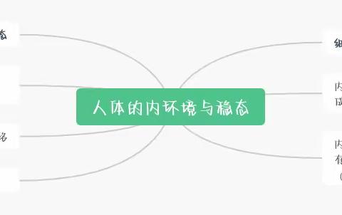 学业水平：画一个学科的思维导图