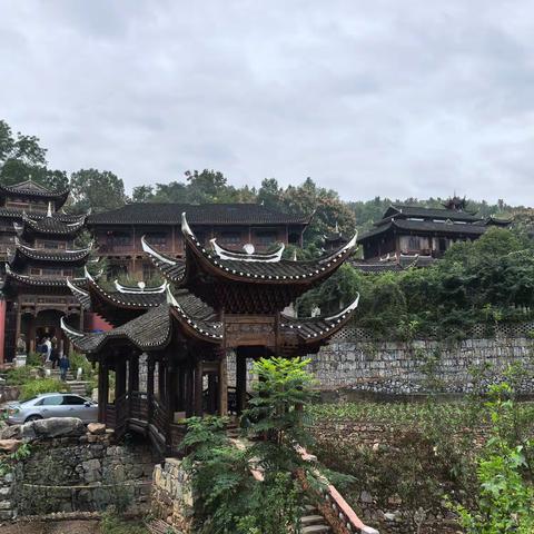 武陵山里的奇葩