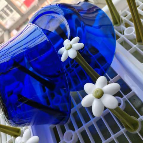 我的前半生.2025年