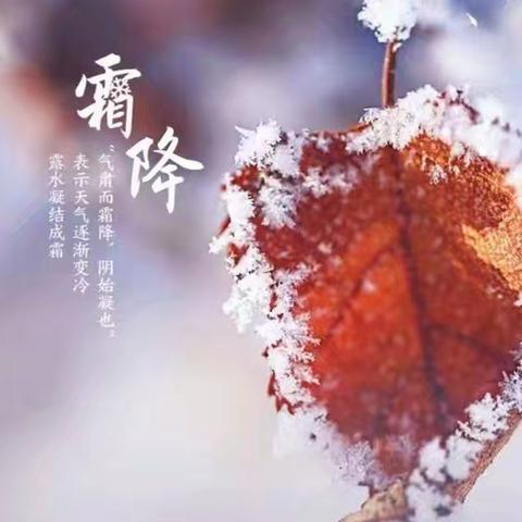 霜降有霜  米谷满仓 壹晨百氏幼儿园“霜降”活动