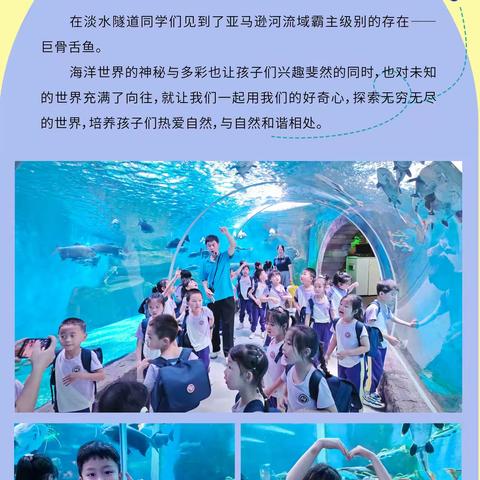 吉州区瑞华幼儿园海洋冒险之旅 【今天的快乐是海水味的】