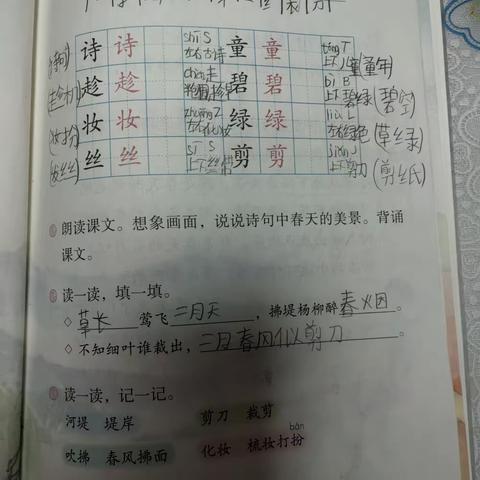 濮阳县第四实验小学张梓怡