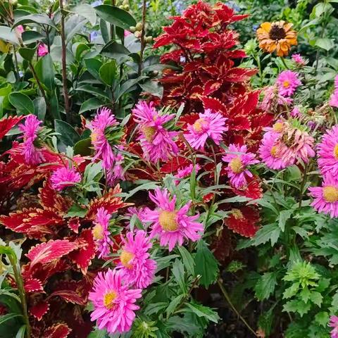 苹果树美术教育：点亮孩子的艺术成长之路！