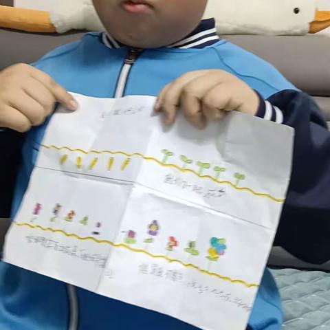 我们都是种子宝宝