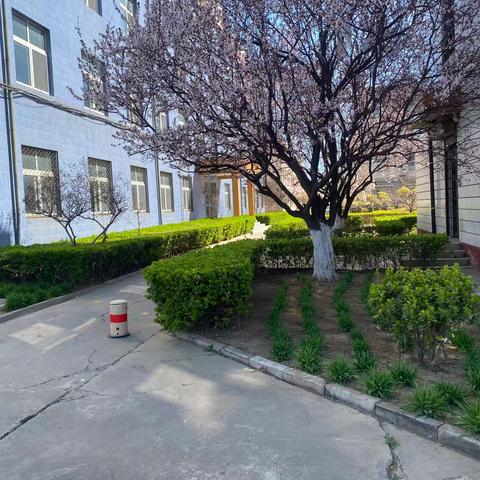 2301园林2班-值周总结