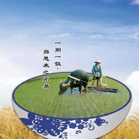 【校园食谱】——高乐山镇龙坪小学第七周食谱(2024年4月9日-2024年4月12日）