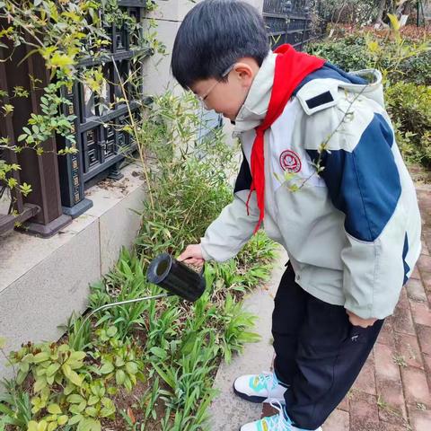 我们是绿色小卫士