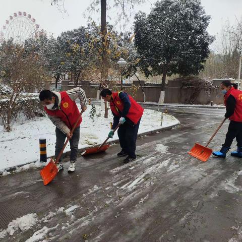 雪花烂漫更显志愿温暖