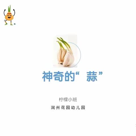 小班课程故事：神奇的蒜