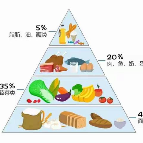 “科学食养，助力少年儿童健康成长”健康饮食知识进校园活动