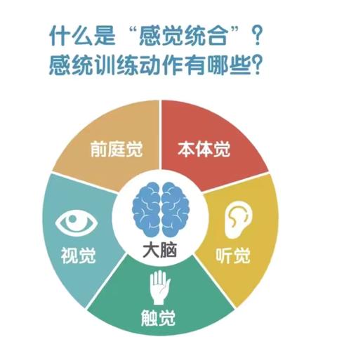 03宝宝亲子感统训练小游戏———荷露幼儿园七月科学育儿指导活动