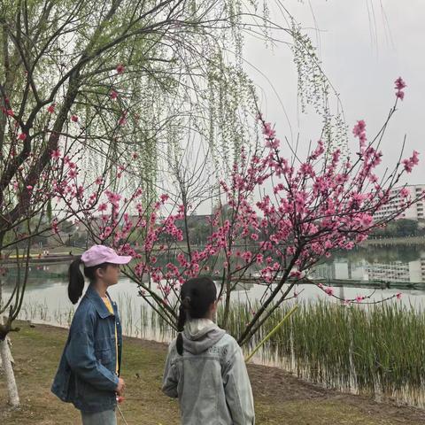 春日寻趣——孩子们的春日探索