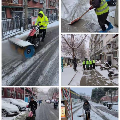 雪舞风歌，公职护航 | 槐荫区住建局组织物业企业积极应对极寒雨雪天气