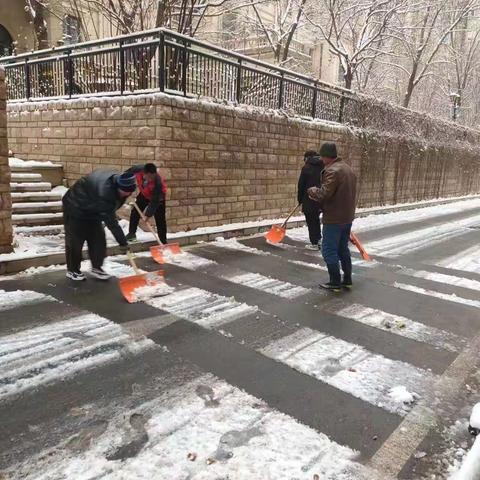 扫雪护行•情暖人心——鼎泽物业（E03项目）积极开展清雪行动