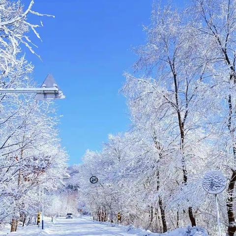 初雪已落，寒冬将至——武安市邑城镇紫罗小学雨雪天气安全工作