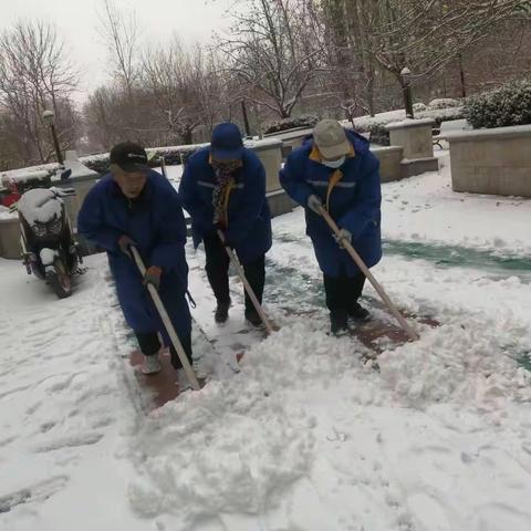 情暖冬日，铲冰除雪”合生世界花园物业在行动!